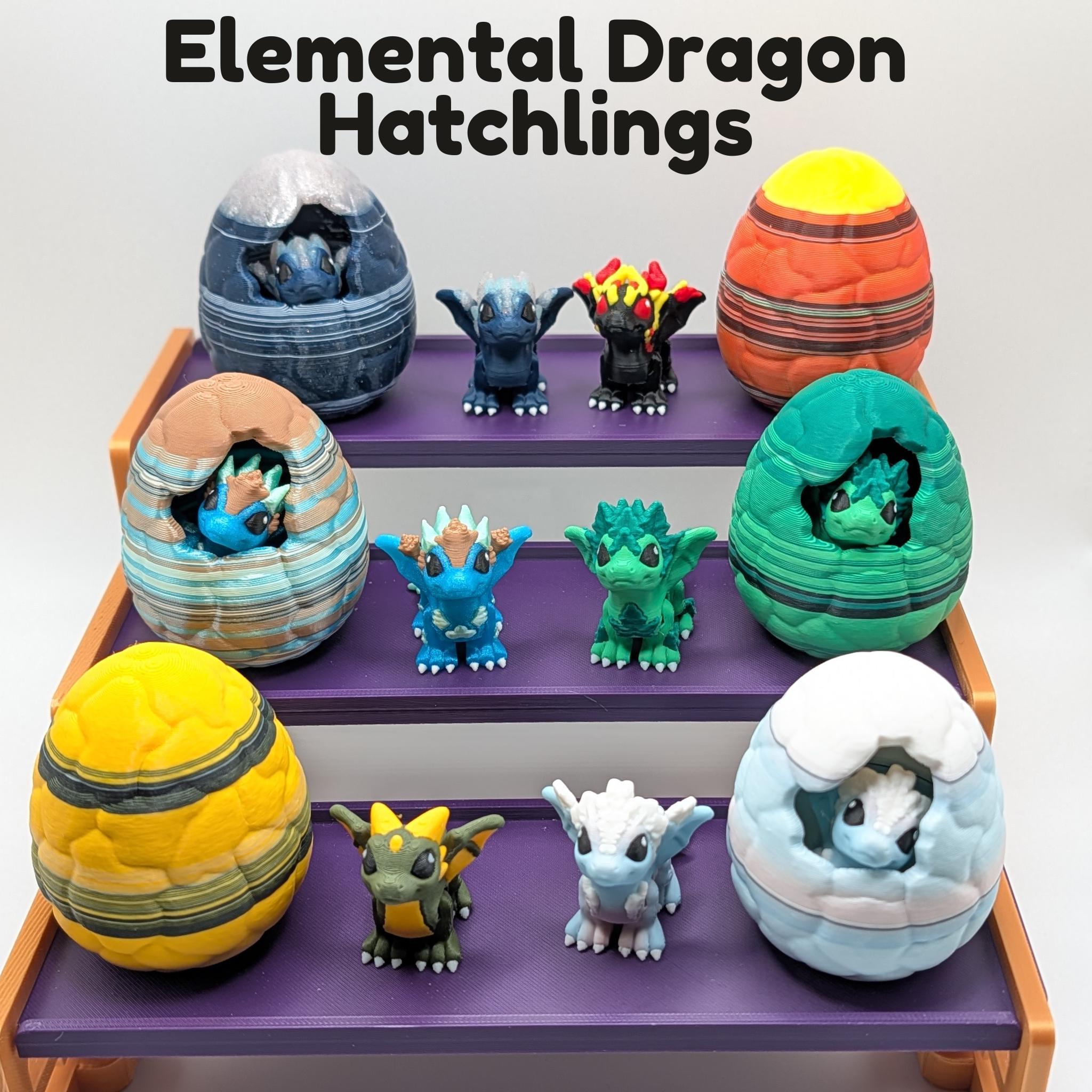 Elemental Dragon Hatchlings with Egg