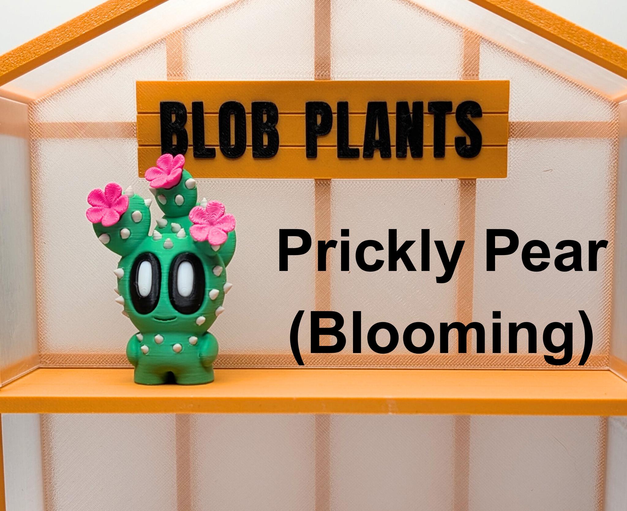 Blob Plant Decor Gift: Including New Expanded Desert Plants