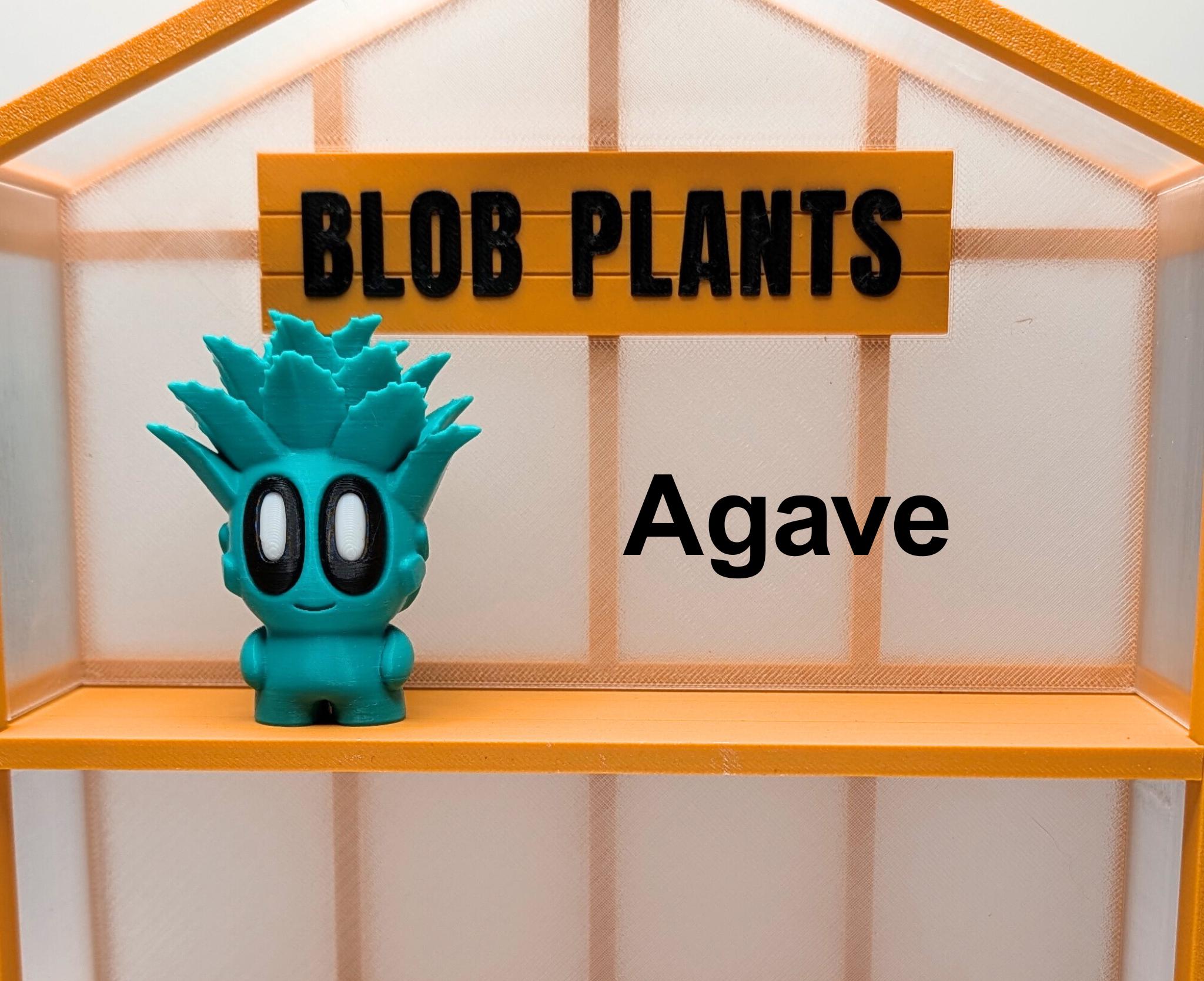 Blob Plant Decor Gift: Including New Expanded Desert Plants
