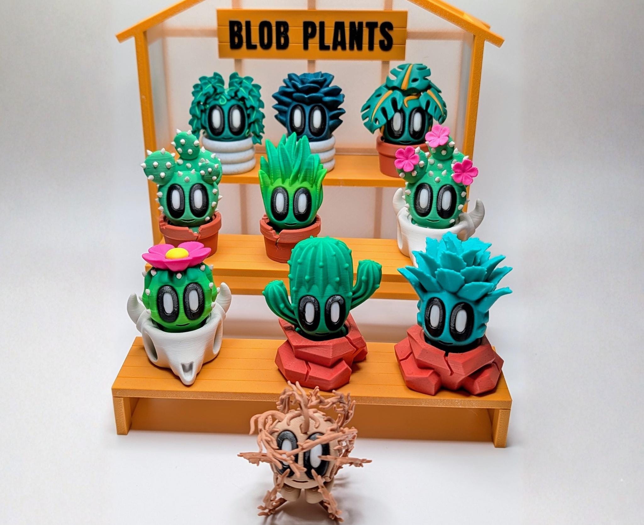Blob Plant Decor Gift: Including New Expanded Desert Plants