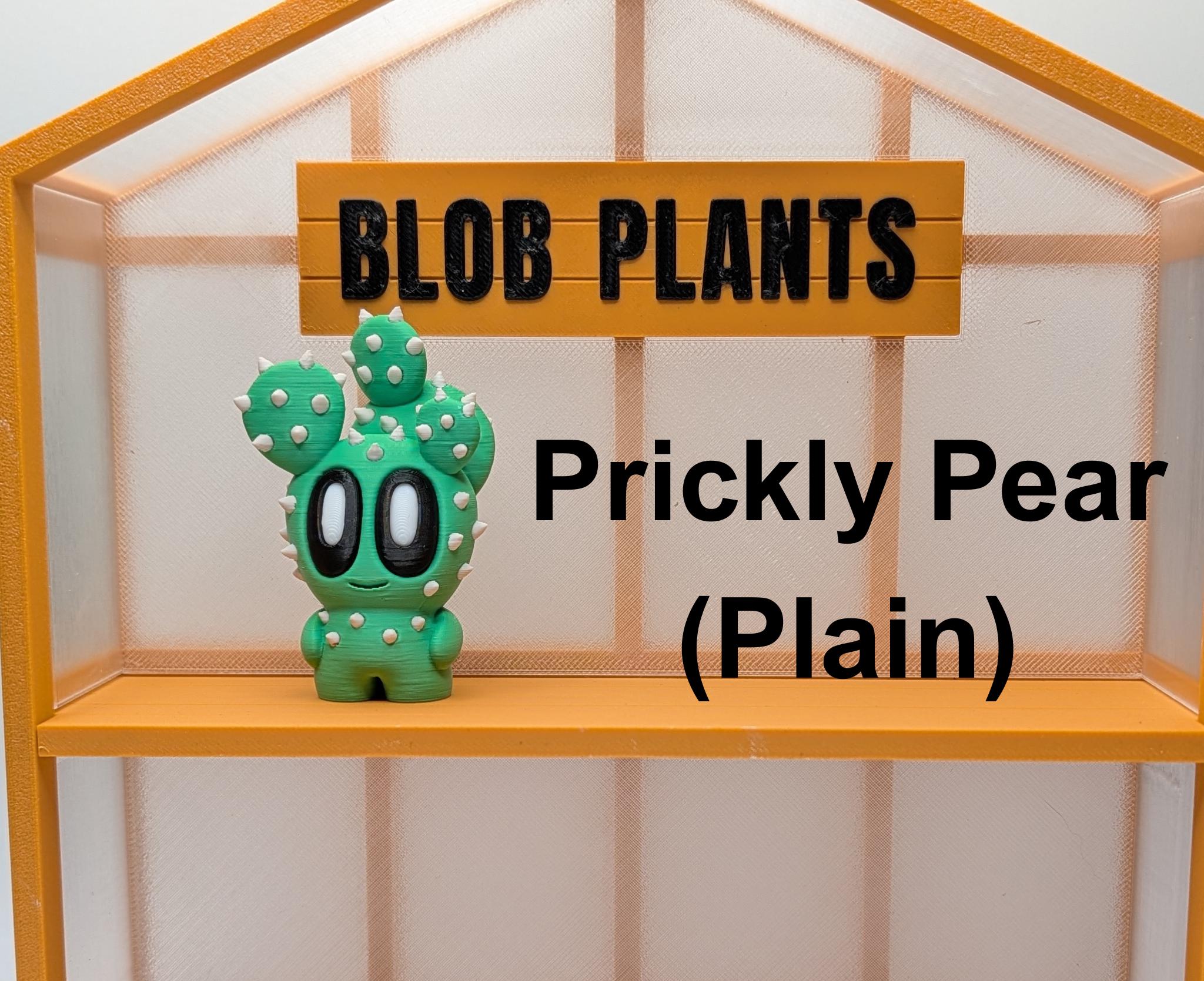 Blob Plant Decor Gift: Including New Expanded Desert Plants