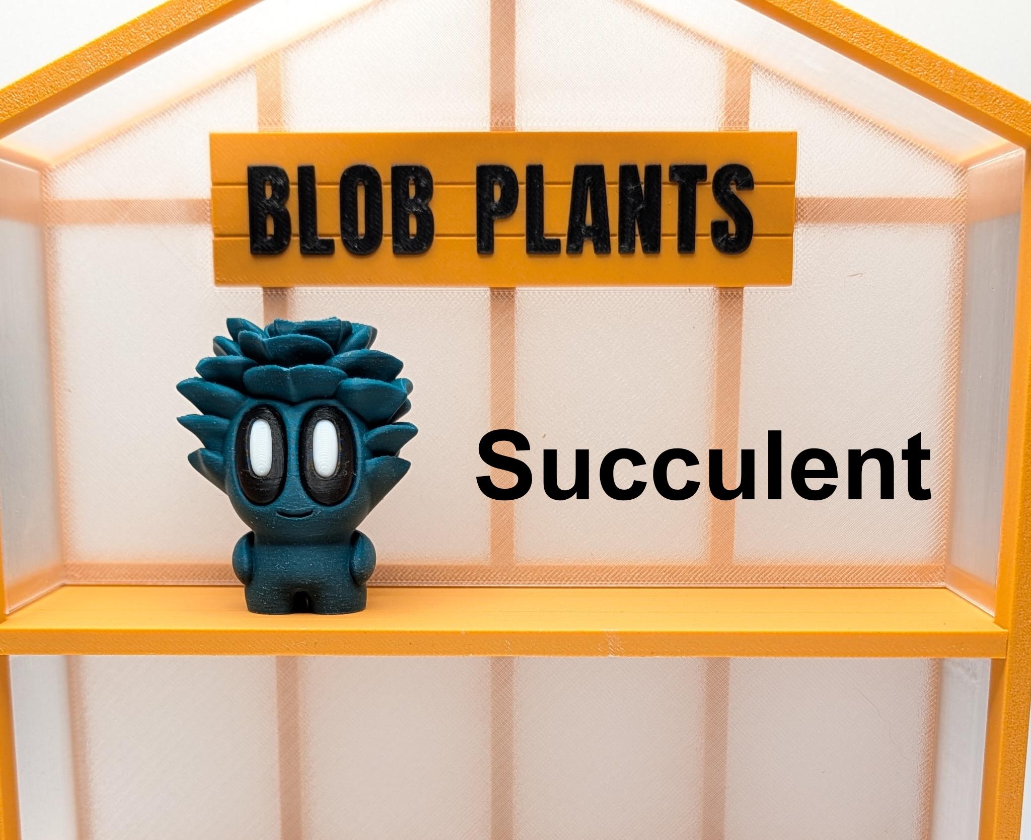 Blob Plant Decor Gift: Including New Expanded Desert Plants