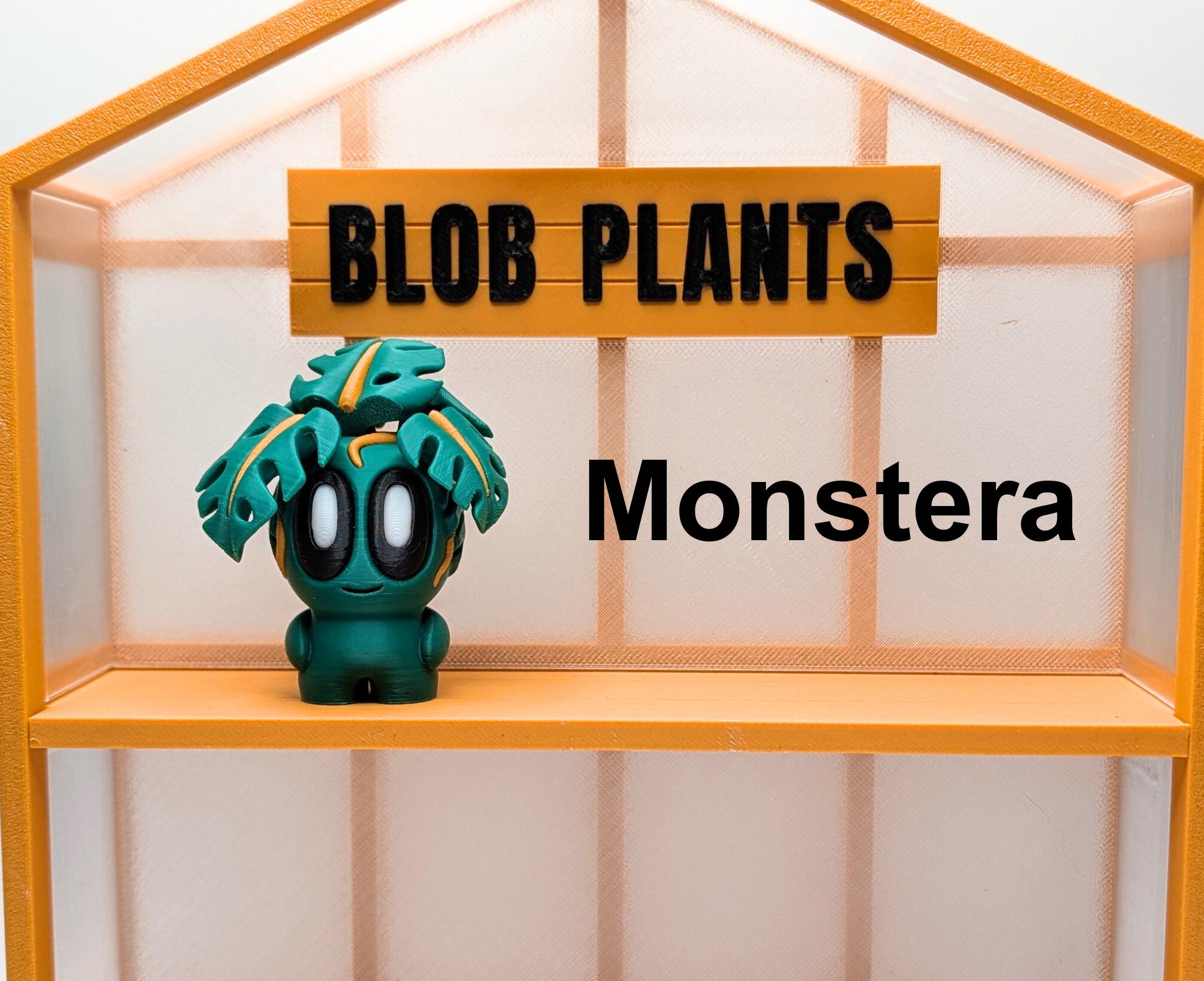 Blob Plant Decor Gift: Including New Expanded Desert Plants
