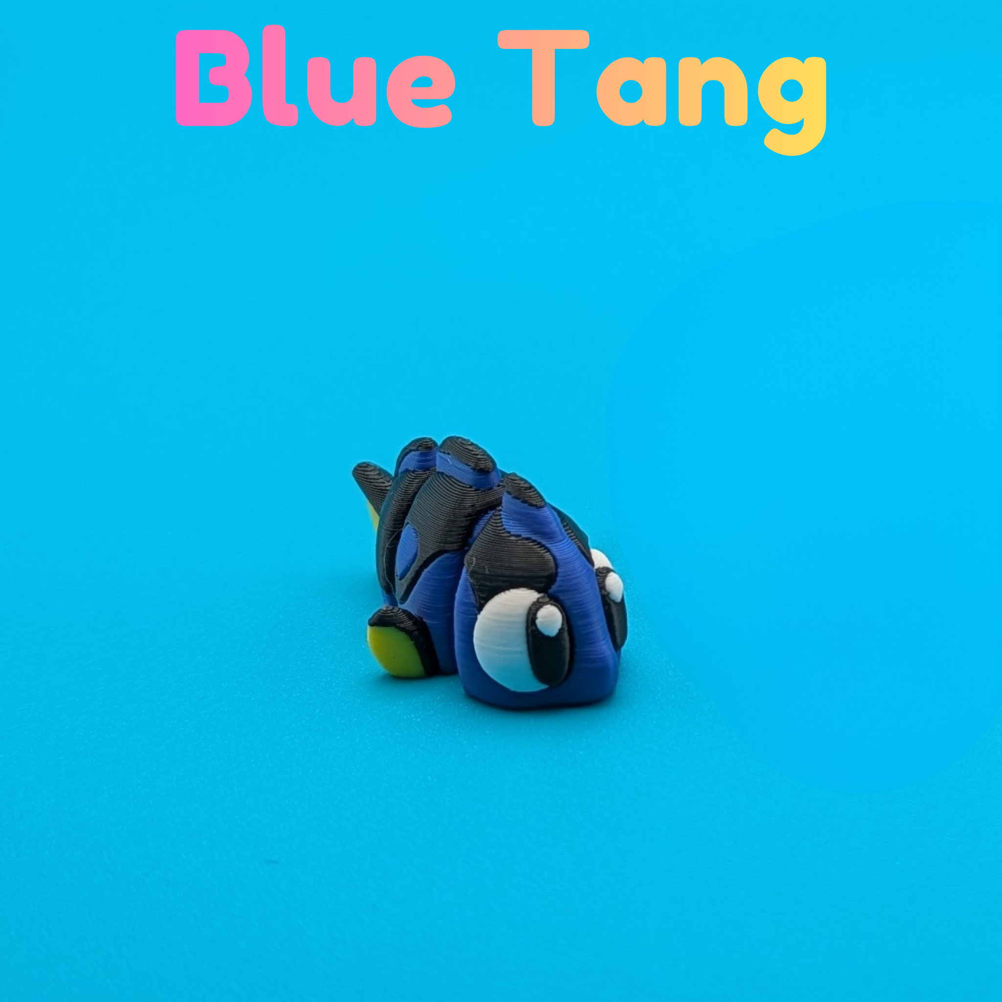 Articulated Tropical Fish Fidgets | Clownfish, Blue Tang, Butterfly