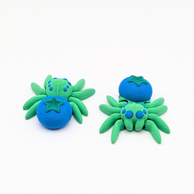 Blueberry Spider