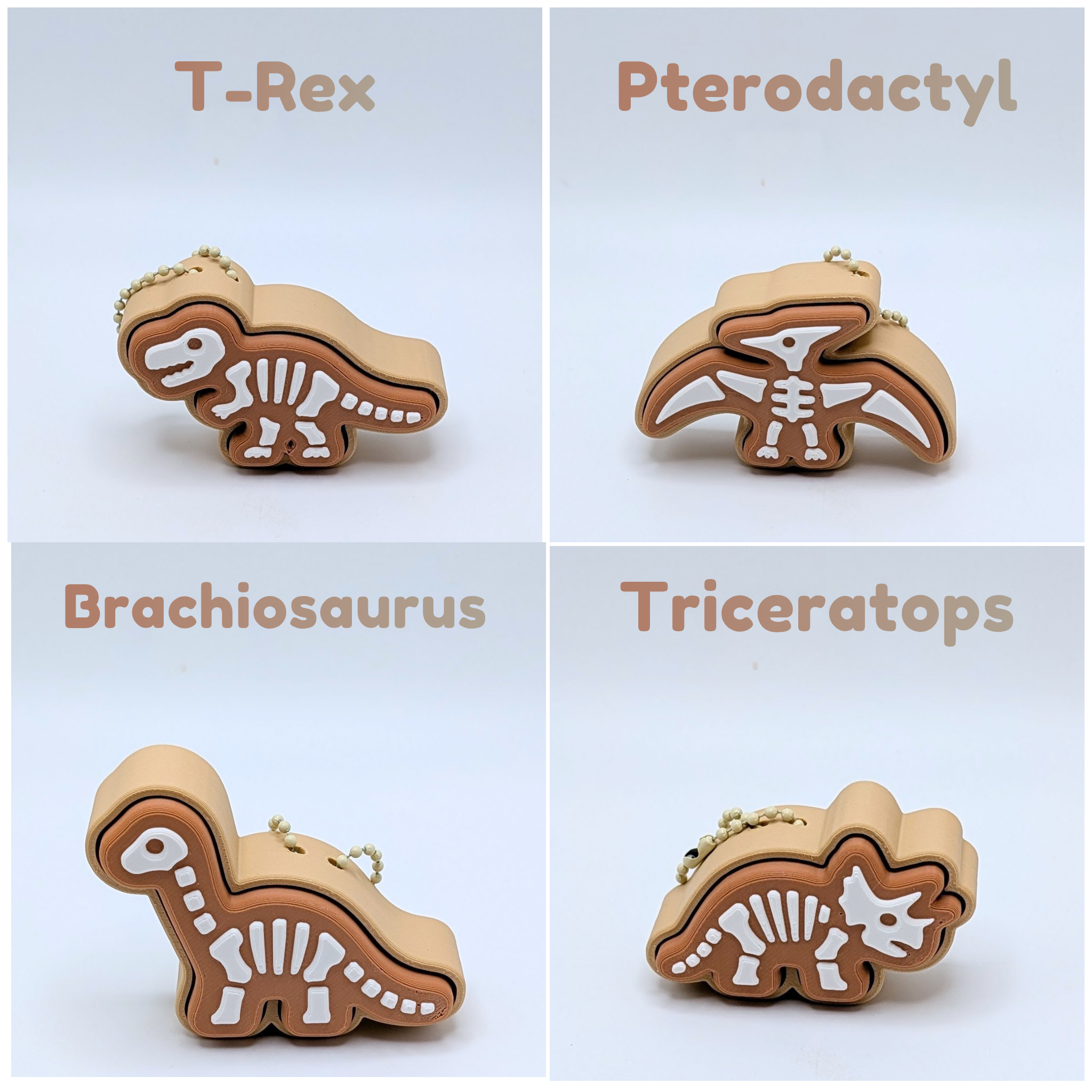 Dinosaur Fossil Skeleton Clicker Fidget