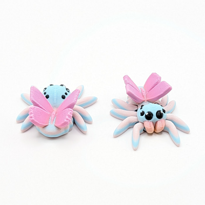Fairy Spider
