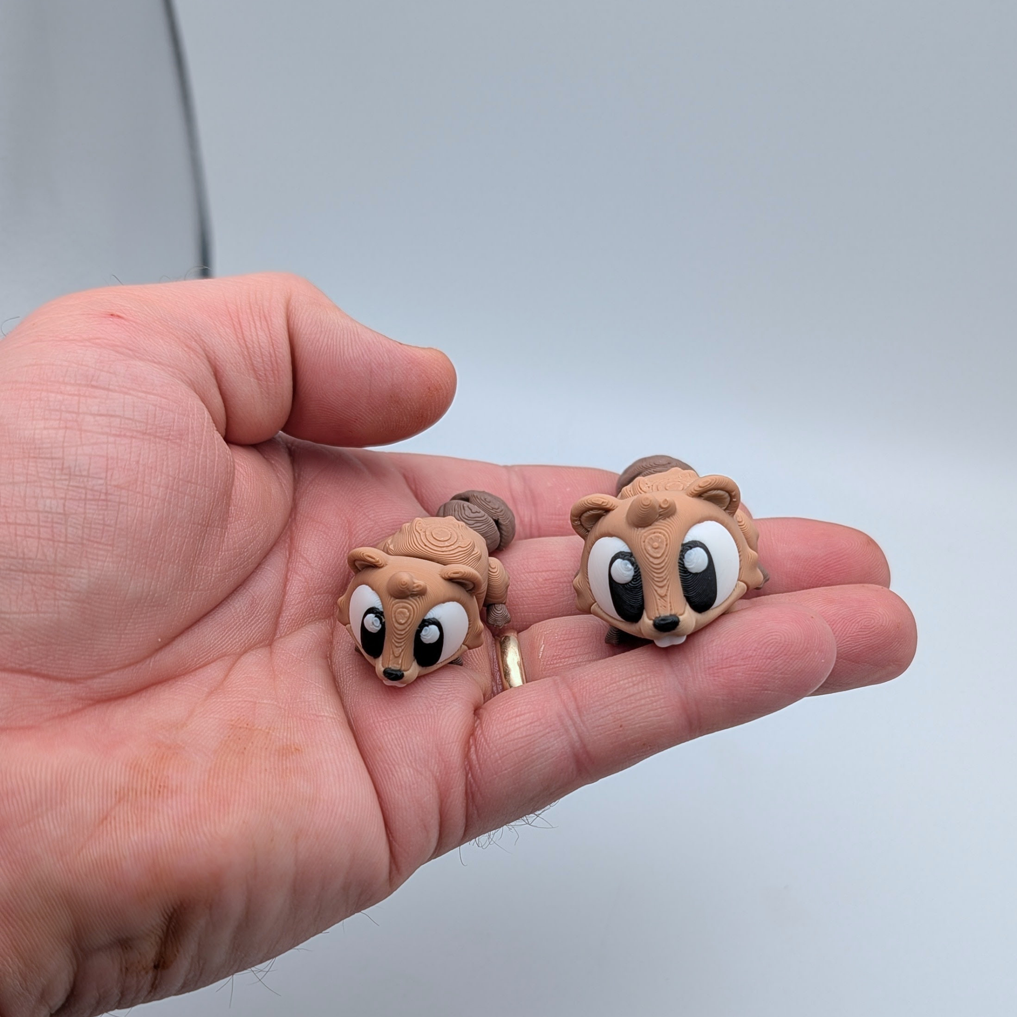 Flexi Beaver Articulated Fidgets and River Hut Playset