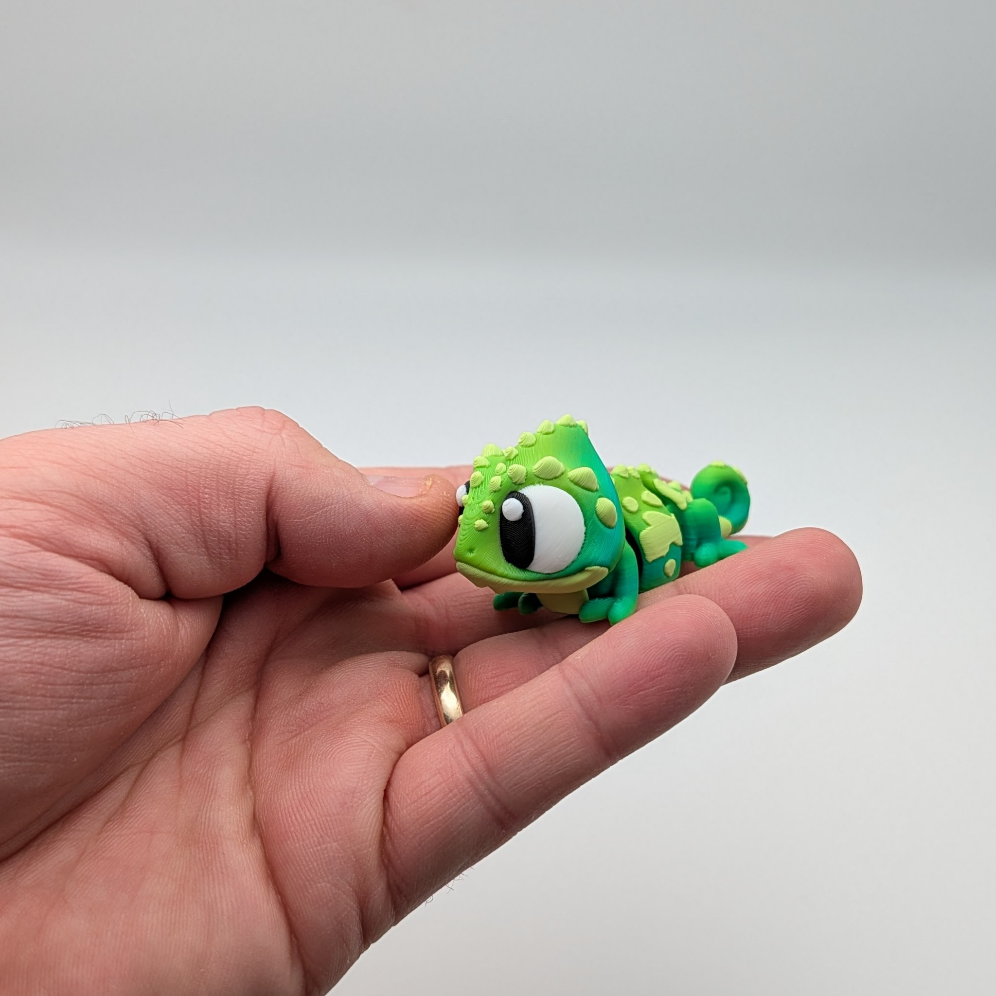 Articulated Flexi Chameleon
