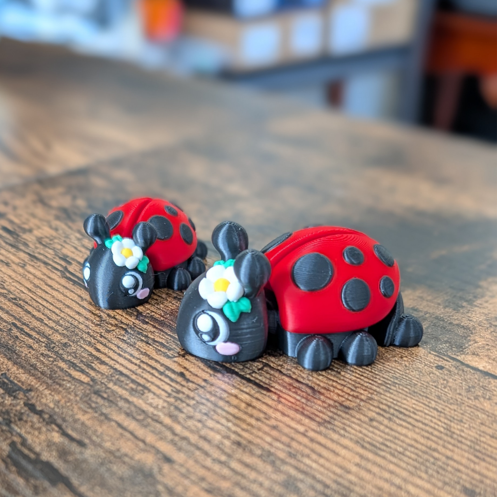 Flower Ladybug Fidget
