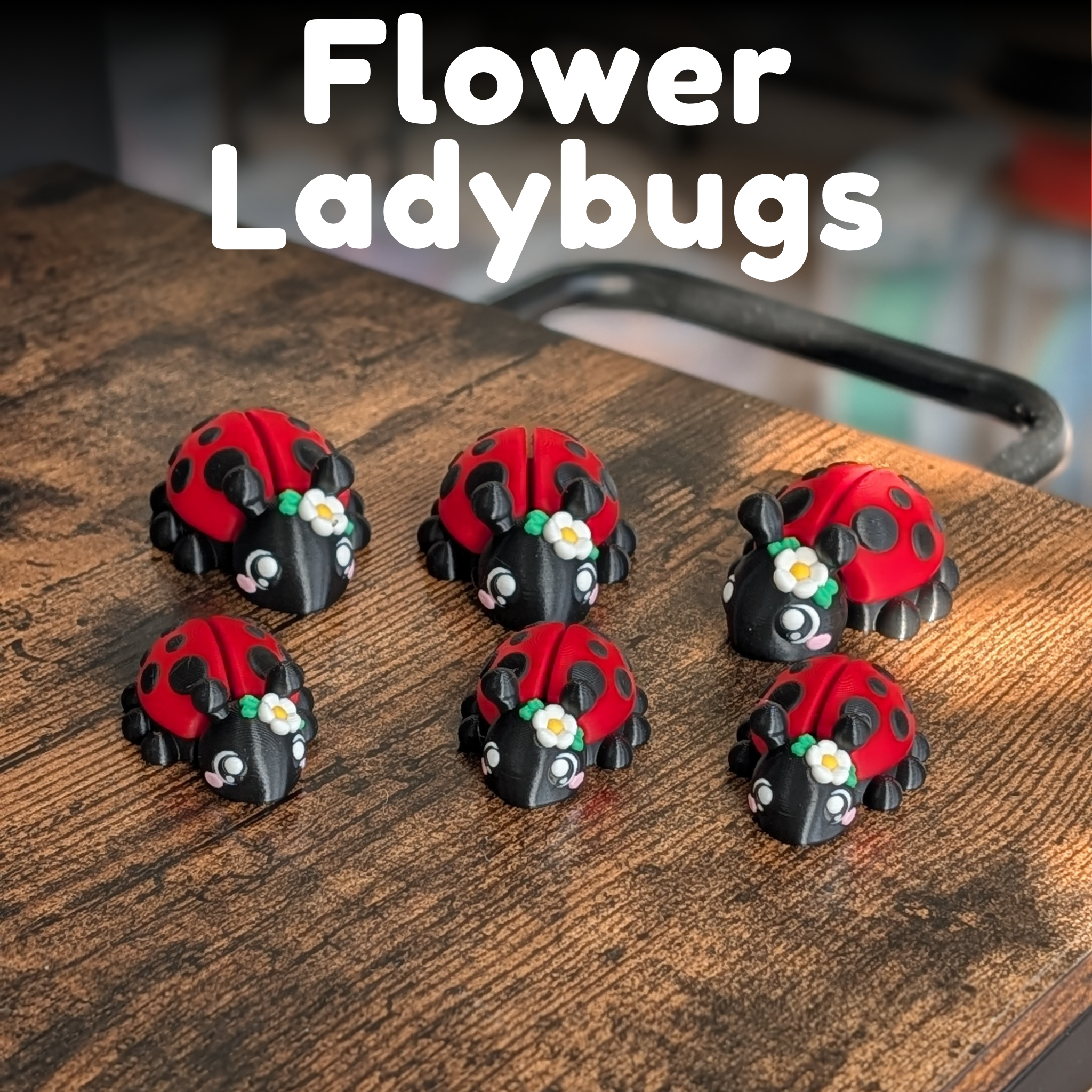 Flower Ladybug Fidget