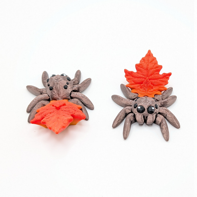 Leaf Spider