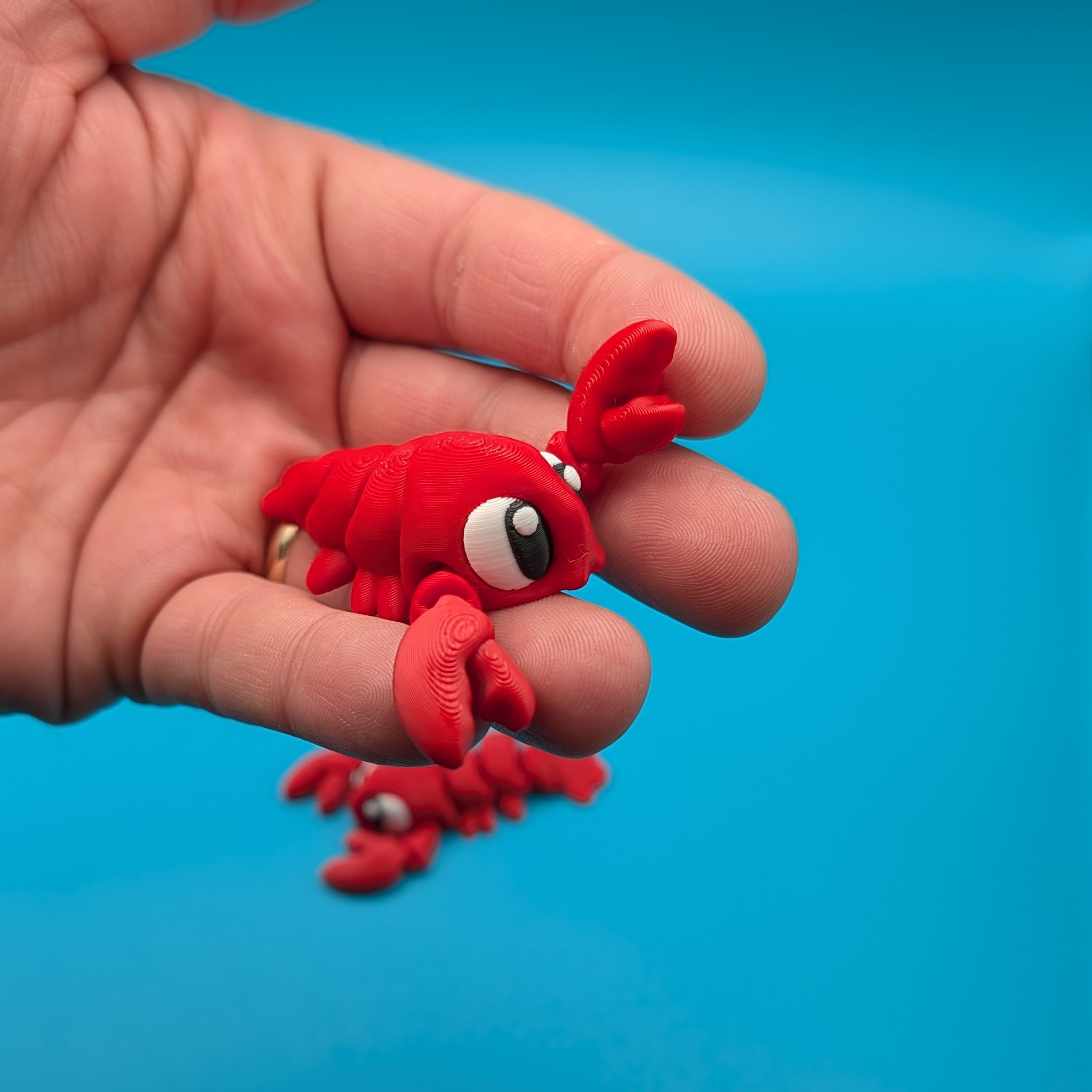 The Lobster Tank | Articulated Fidget & Habitat