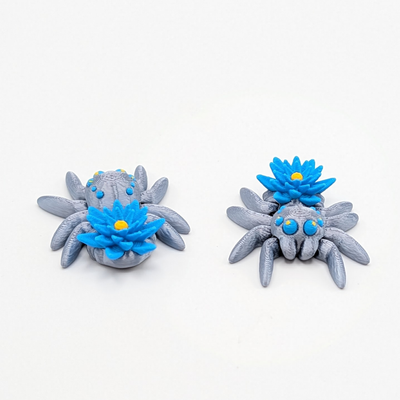 Lotus Spider