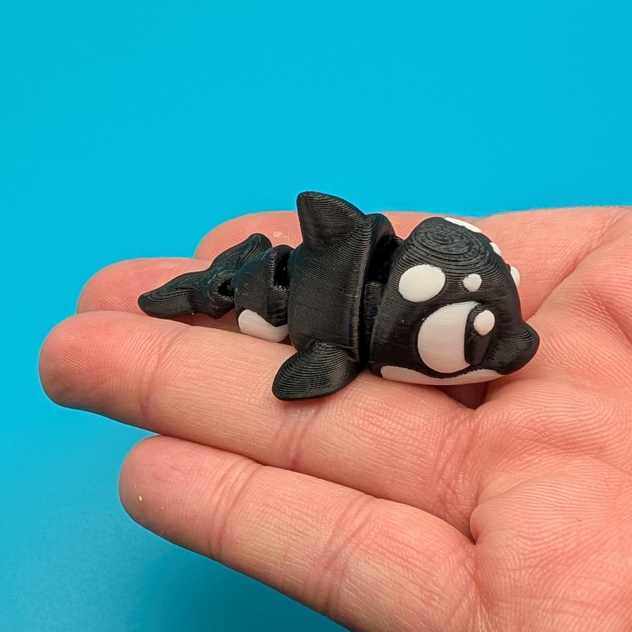 The Orca Tank | Articulated Killer Whale & Habitat