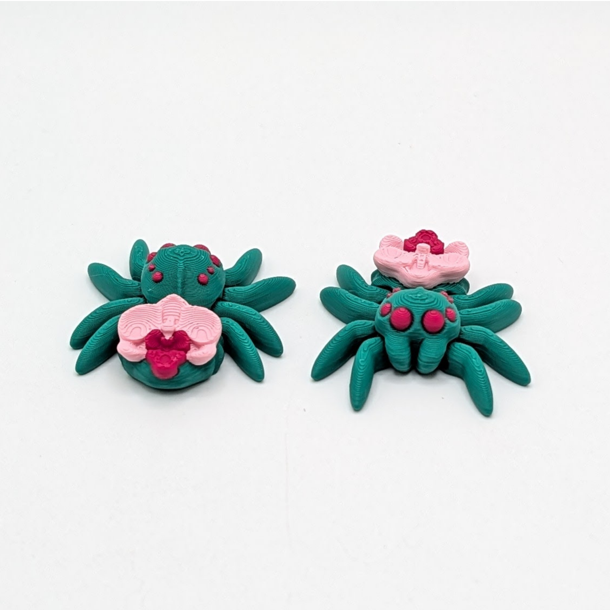 Tiny Spiders Bundle