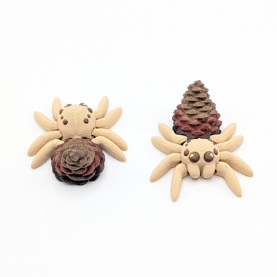 Pinecone Spider
