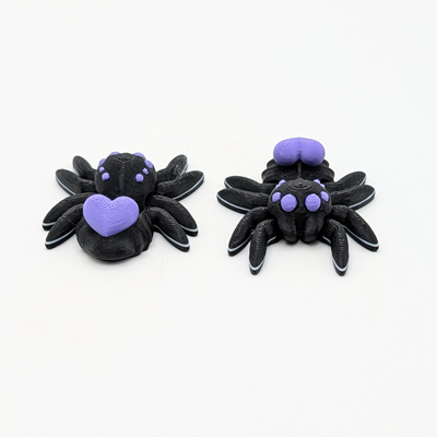 Purple Heart Spider