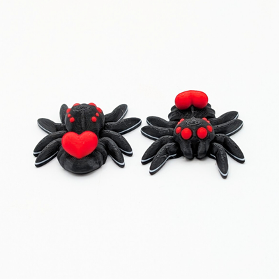 Red Heart Spider