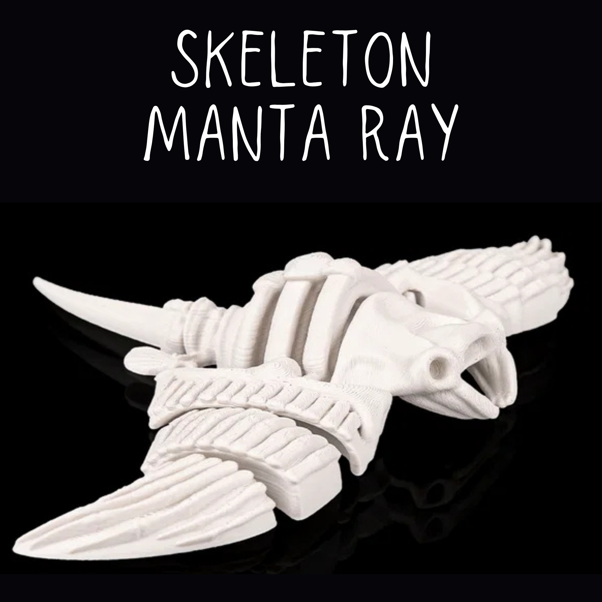 Deep Sea Skeleton Articulated Fidget Toy