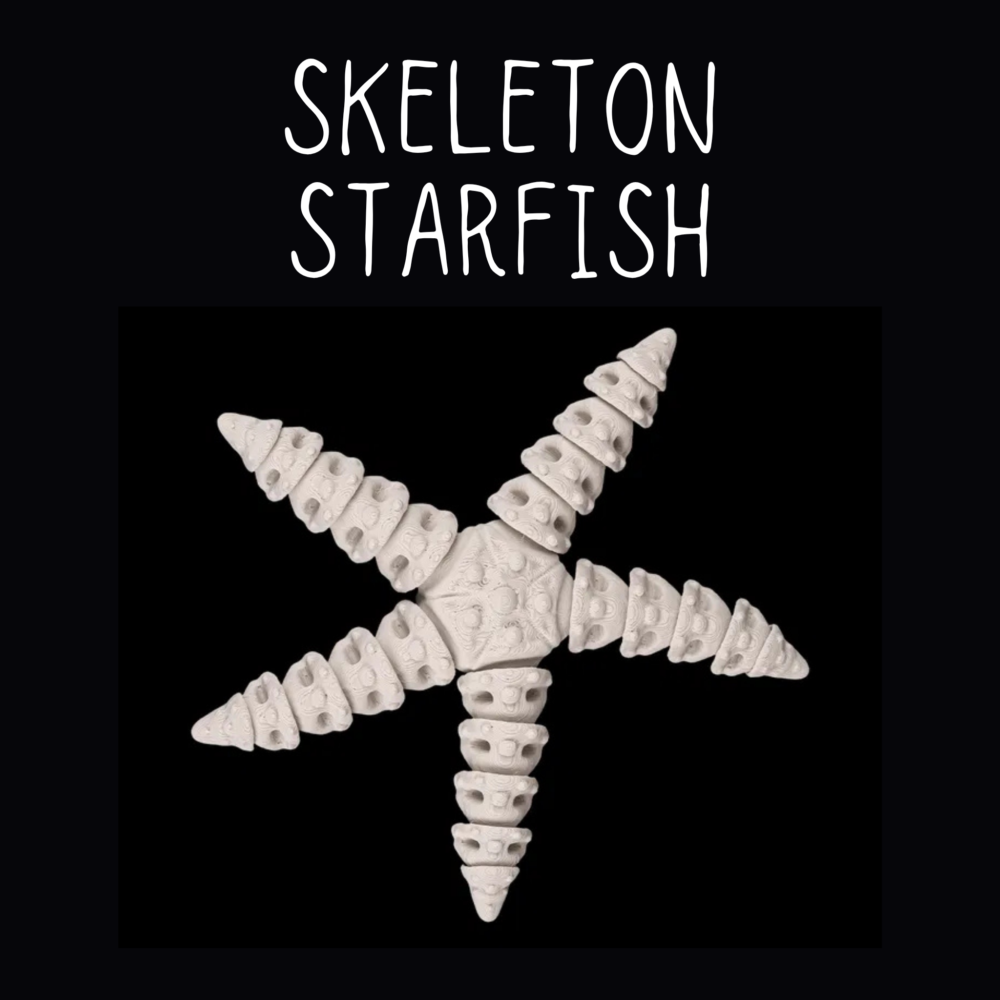 Deep Sea Skeleton Articulated Fidget Toy