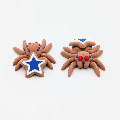 Star Cookie Spider